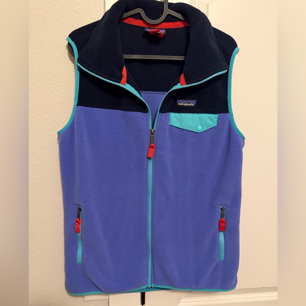 Patagonia Lightweight Synchilla Snap-T Vest